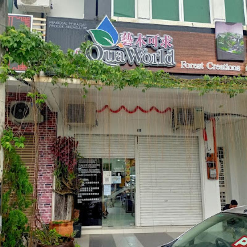 Top 10 Best Aquarium Shop in Ipoh 2025 6 Equaworld-Forest-Creations-
