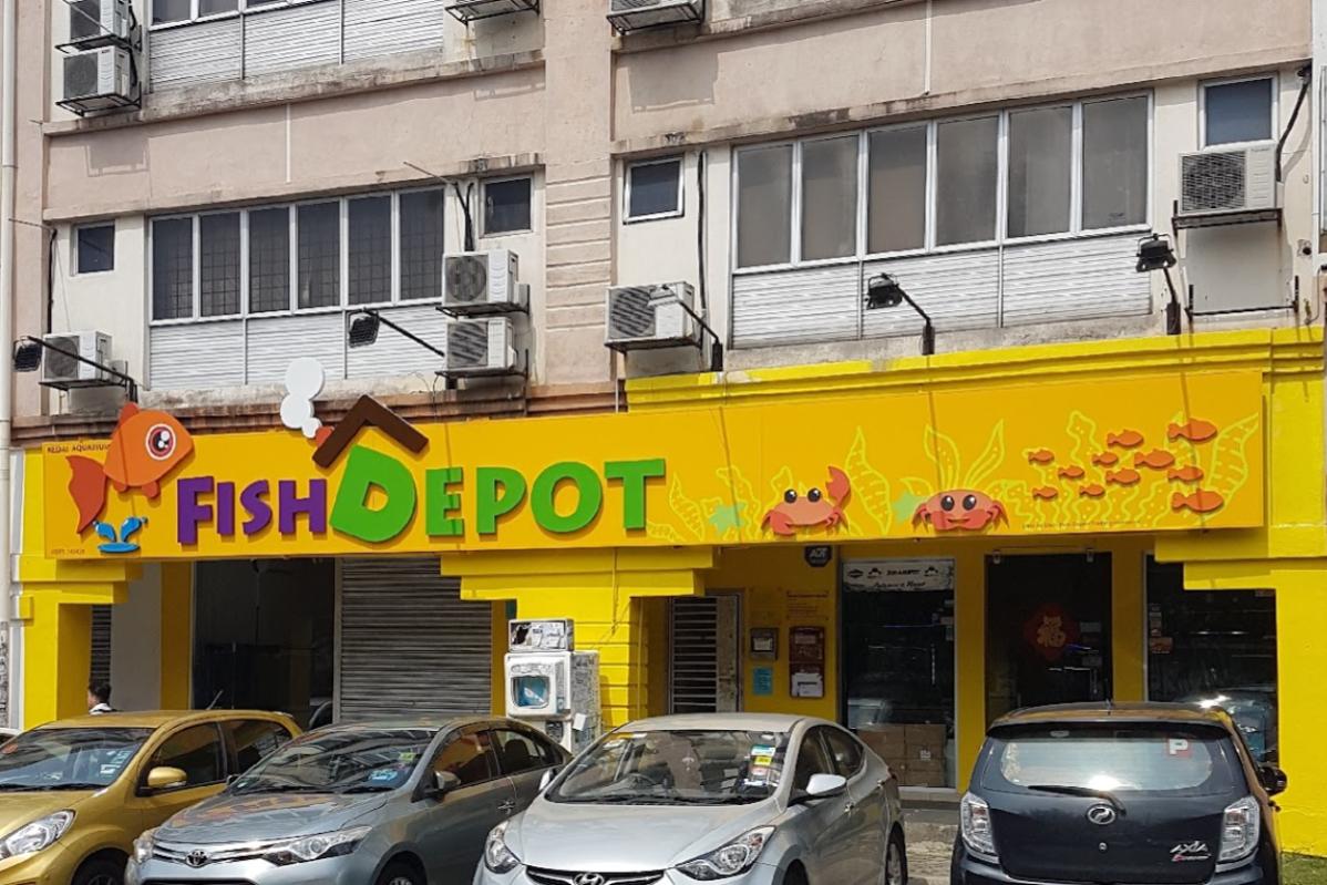 10 Best Aquarium Shop in PJ 2024 Dive into a Water World