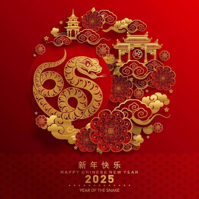 50 Best Chinese New Year Wishes and Greetings 2025 5 General
