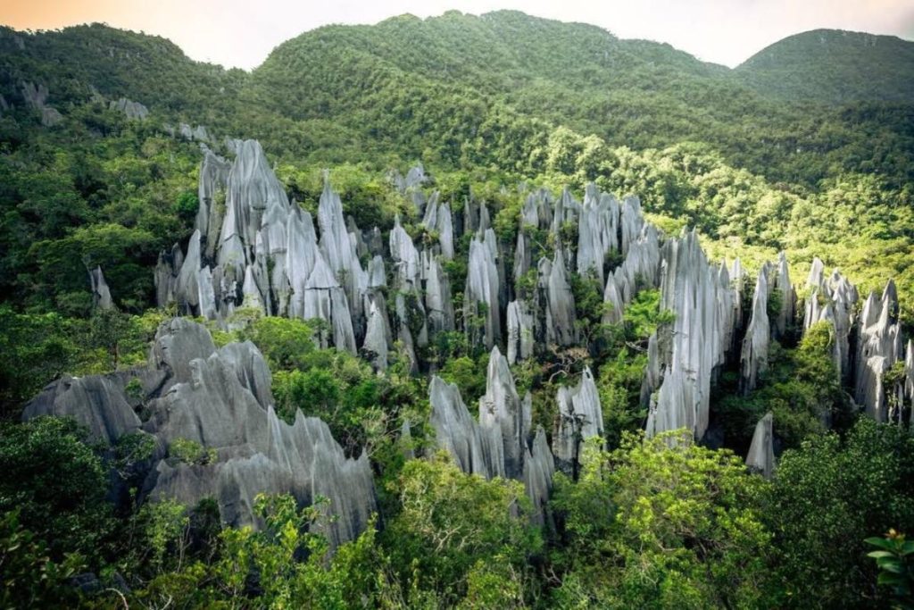 Top 10 Best Places For Hiking in Sarawak 2025 4 Gunung-Mulu-National-Park-