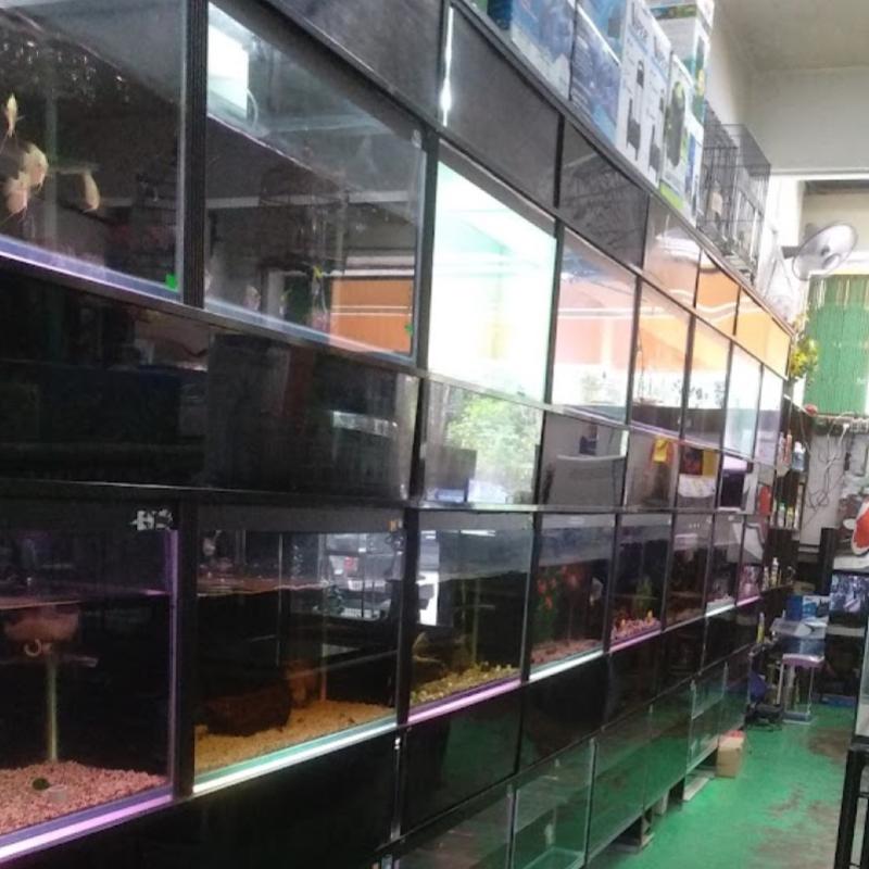 10 Kedai Akuarium Terbaik di Johor 2025 15 HT-Life-Ocean-Aquarium-Pet-Center-