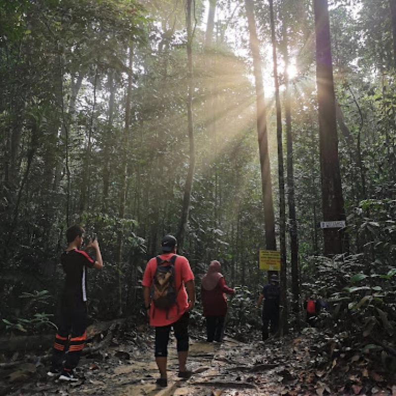 10 Tempat Mendaki Terbaik Berdekatan Puchong 2025 11 Hutan-Simpan-Ayer-Hitam-