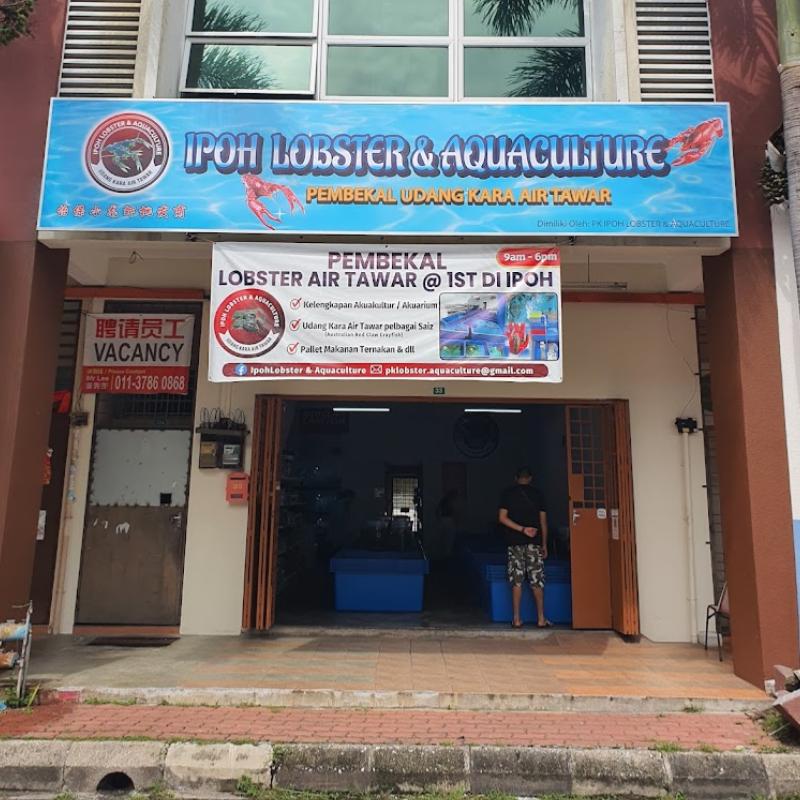 Top 10 Best Aquarium Shop in Ipoh 2025 10 Ipoh-Lobster-Aquaculture-