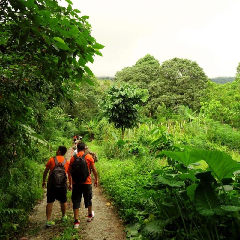Top 10 Best Places For Hiking in Sarawak 2025 9 Jangkar-Waterfall-