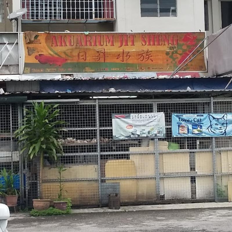 Top 10 Best Aquarium Shop in Penang 2025 14 Jit-Sheng-Aquarium