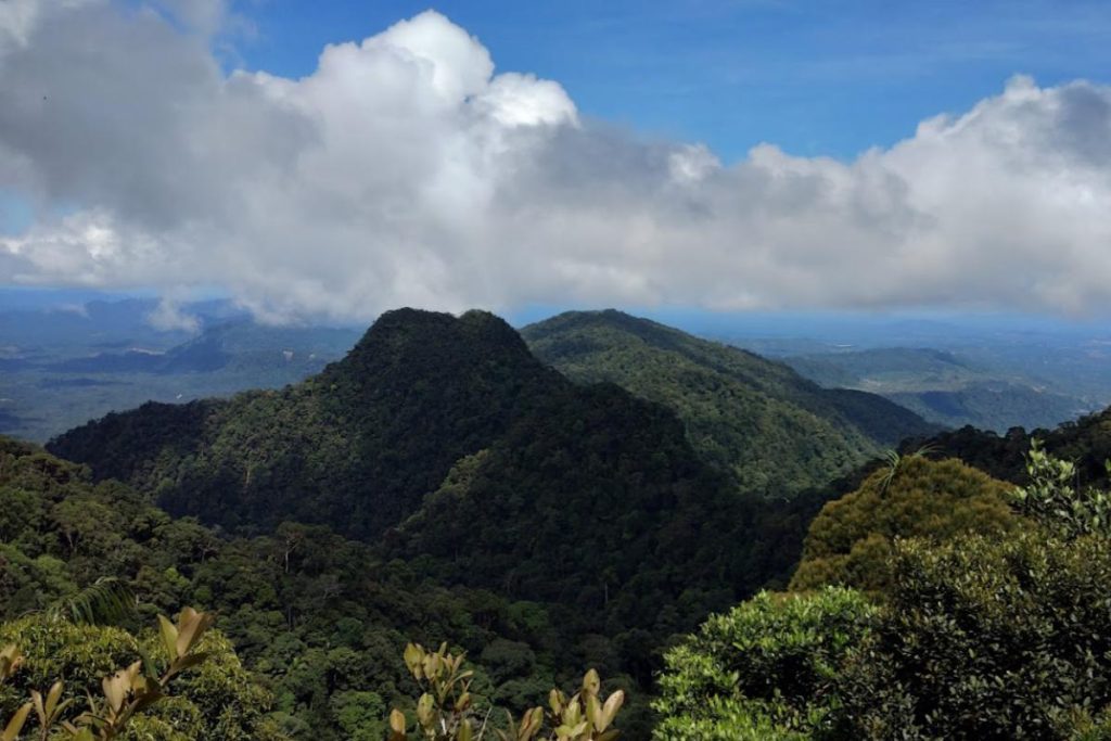 Top 10 Best Places For Hiking in Sarawak 2025 6 Kubah-National-Park
