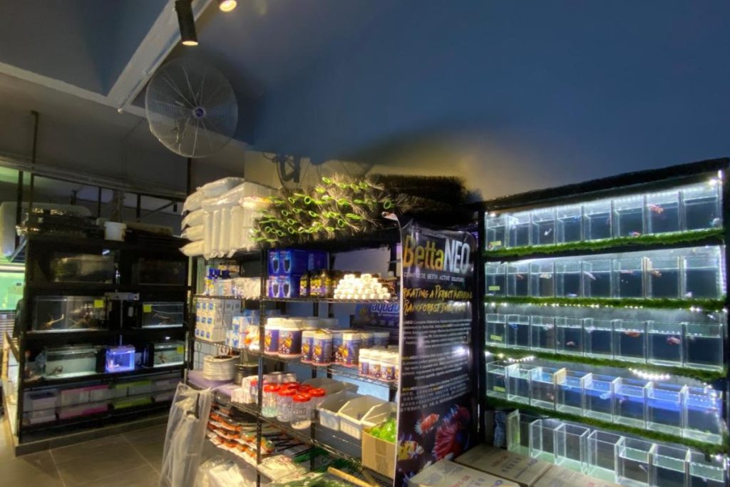 10 Kedai Akuarium Terbaik di Johor 2025 13 LZW-Aquarium