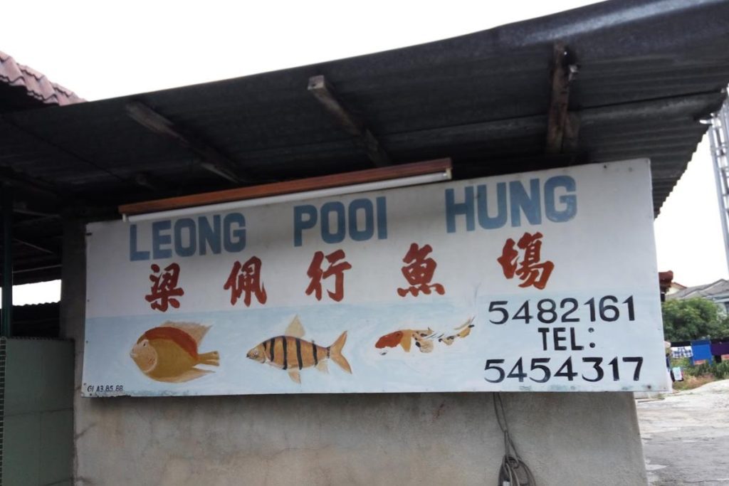 Top 10 Best Aquarium Shop in Ipoh 2025 2 Leong-Pooi-Hung-Aquarium-