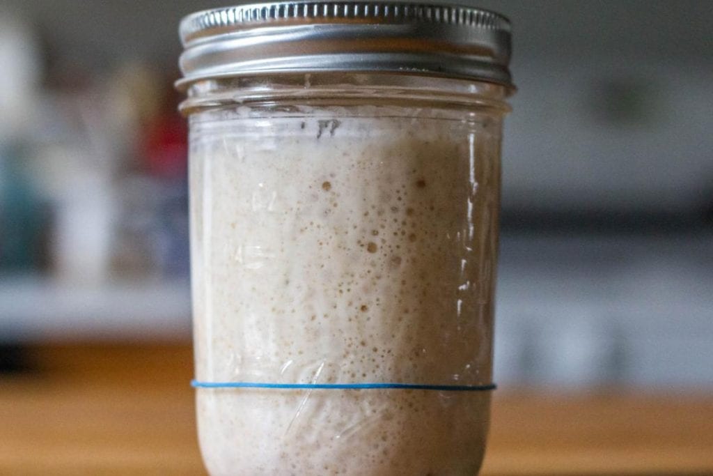 Master Sourdough Bread With These 5 Essential Tools 1 Master-Sourdough-Bread-With-These--Essential-Tools-x-