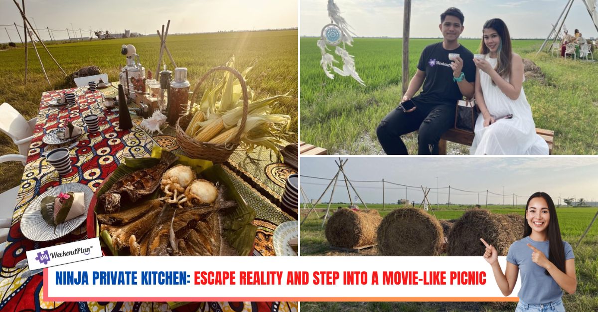 NINJA-PRIVATE-KITCHEN-ESCAPE-REALITY-AND-STEP-INTO-A-MOVIE-LIKE-PICNIC