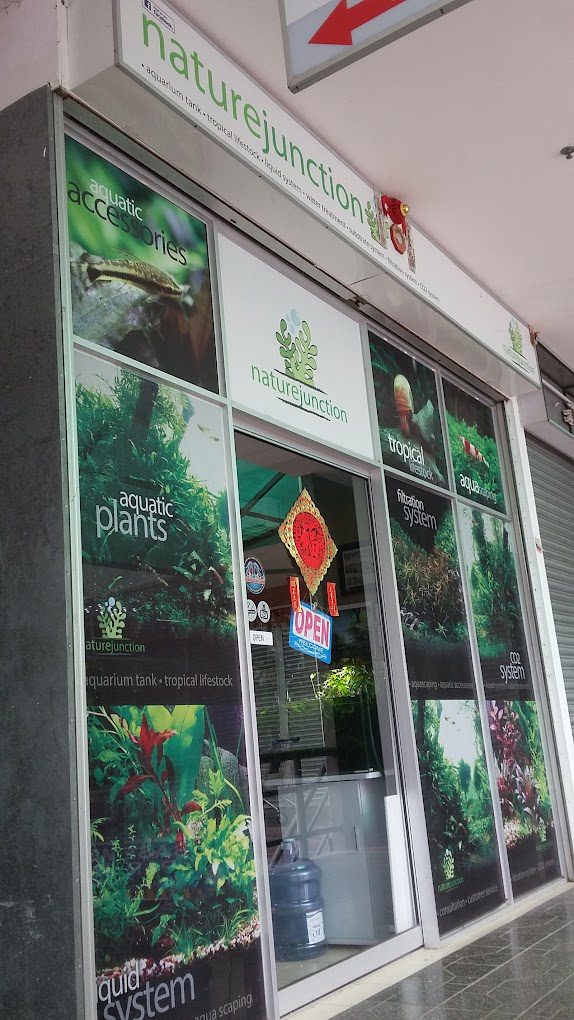 <strong>10 Kedai Akuarium Terbaik di Sarawak 2025</strong> 10 Nature-Junction-
