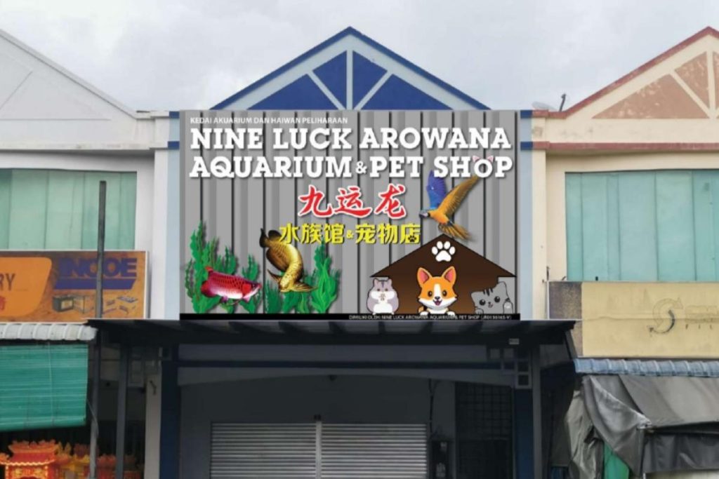Top 10 Best Aquarium Shop in Ipoh 2025 16 Nine-Luck-Arowana-Aquarium-Pet-Shop