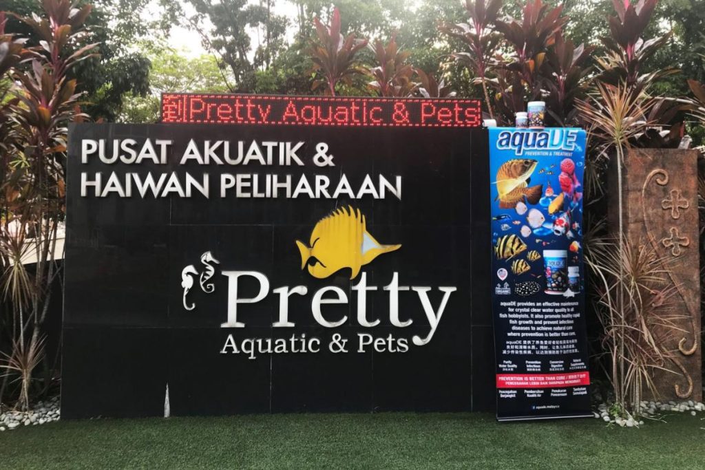 Top 10 Best Aquarium Shop in Ipoh 2025 20 Pretty-Aquatic-Pets