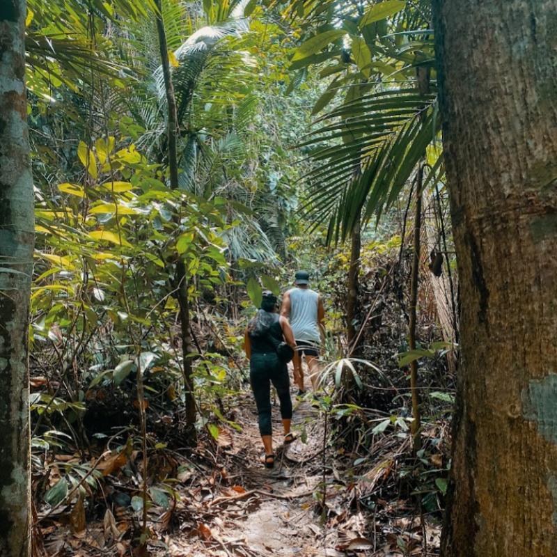 10 Tempat Mendaki Terbaik Berdekatan Cheras 2025 13 Pulai-Trail-