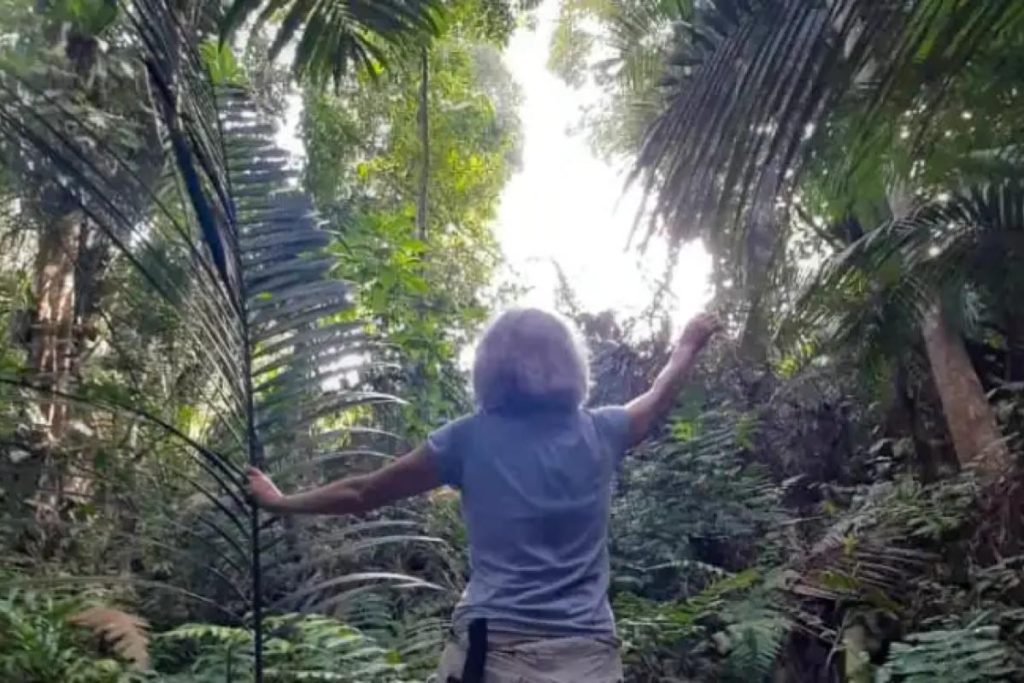 10 Tempat Mendaki Terbaik Berdekatan Cheras 2025 12 Pulai-Trail