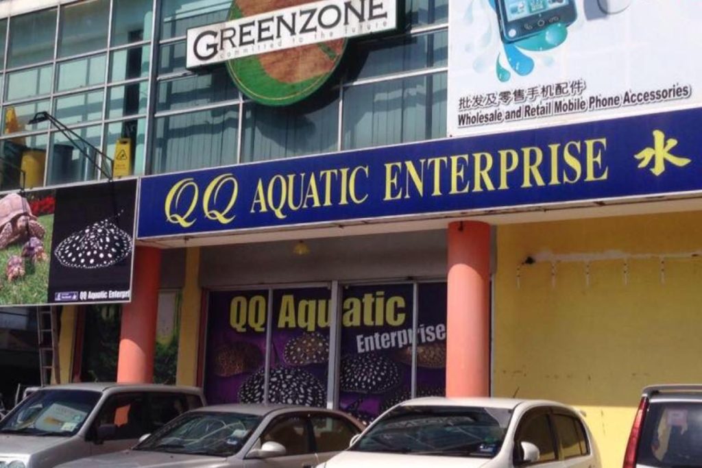 <strong>10 Kedai Akuarium Terbaik di Sarawak 2025</strong> 2 QQ-Aquatic-Enterprise-