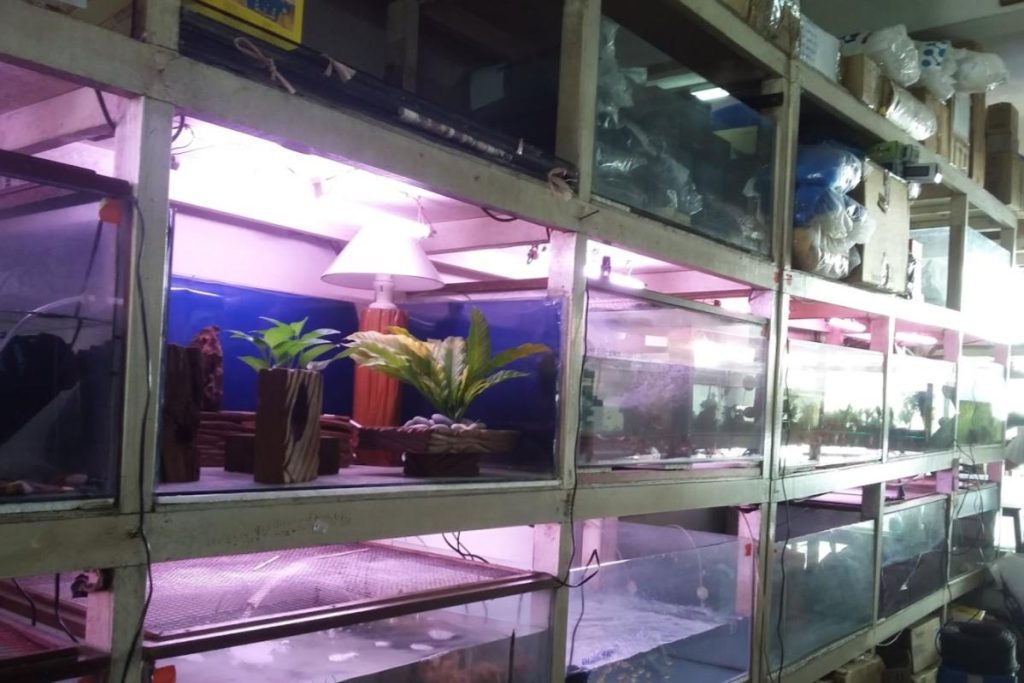 <strong>10 Kedai Akuarium Terbaik di Sarawak 2025</strong> 15 Srido-Enterprise-