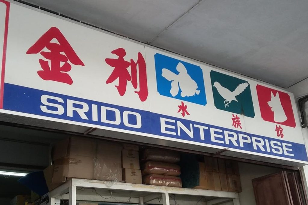 <strong>10 Kedai Akuarium Terbaik di Sarawak 2025</strong> 14 Srido-Enterprise