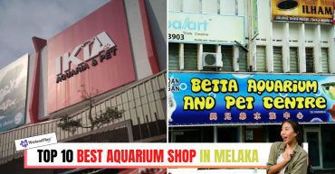 TOP--BEST-AQUARIUM-SHOP-IN-MELAKA-