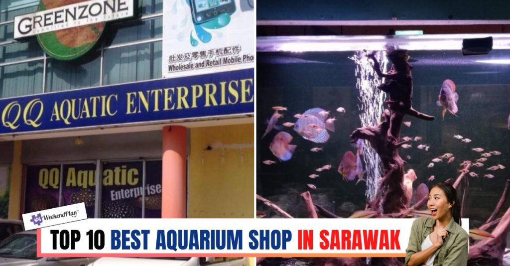 10 Best Aquarium Shop in Sarawak 2024 Your Marine Mart