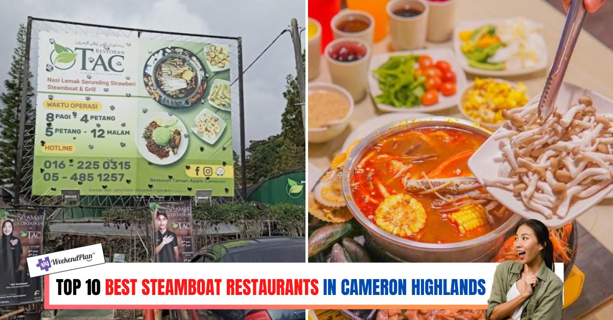 TOP--BEST-STEAMBOAT-RESTAURANTS-IN-CAMERON-HIGHLANDS