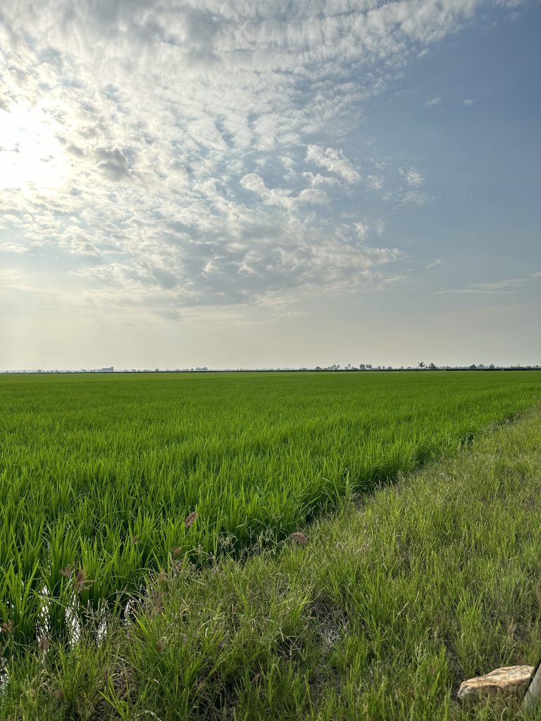 Ninja Private Kitchen: Escape reality and step into a movie-like picnic 1 The-Journey-to-Ninja-Private-Kitchen