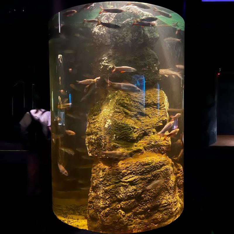 Top 10 Best Aquarium Shop in Penang 2025 9 The-Top-Boutique-Aquarium-