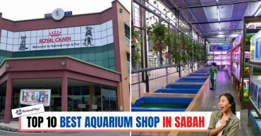 Top--Best-Aquarium-Shop-in-Sabah-