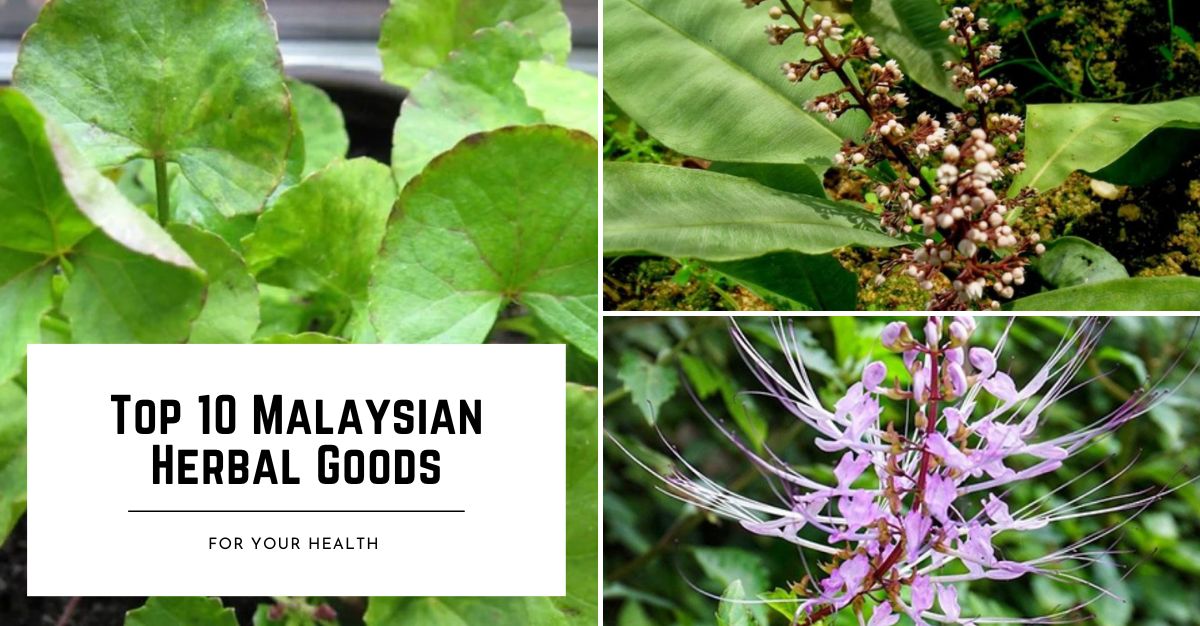 Top--Malaysian-Herbal-Goods-for-Your-Health