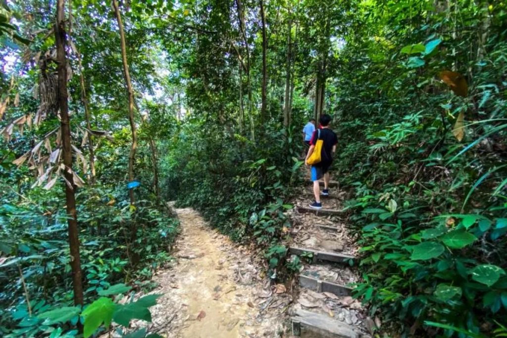Top 10 Best Things To Do in Bukit Gasing 2025 17 Try-a-Different-Pathway-Through-the-Suspension-Bridge-Entrance-