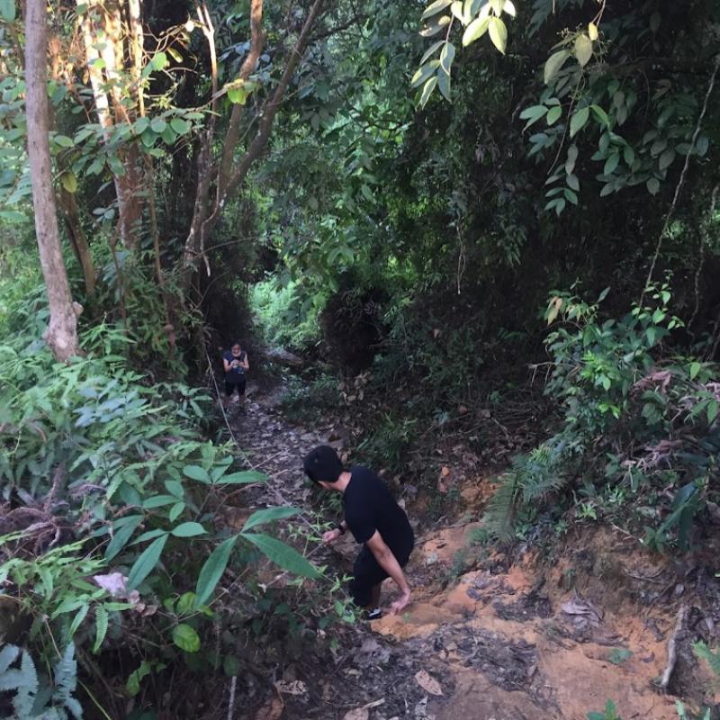 Top 10 Best Places For Hiking in Sarawak 2025 17 Tumbina-Hill--