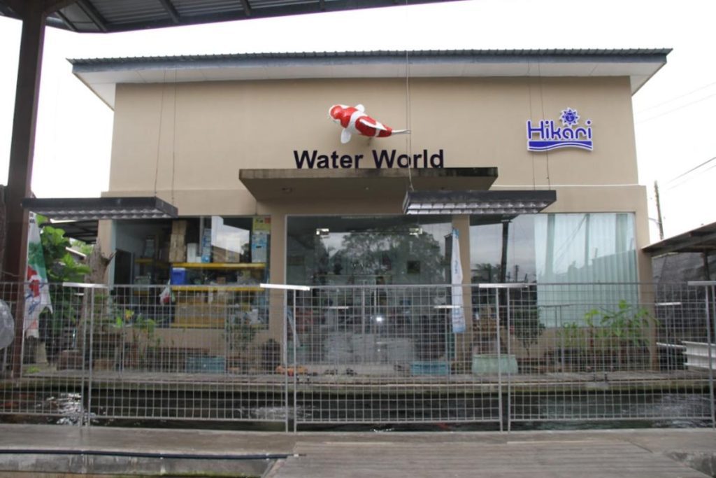 <strong>10 Kedai Akuarium Terbaik di Sarawak 2025</strong> 16 Water-World-Japanese-Koi-Centre