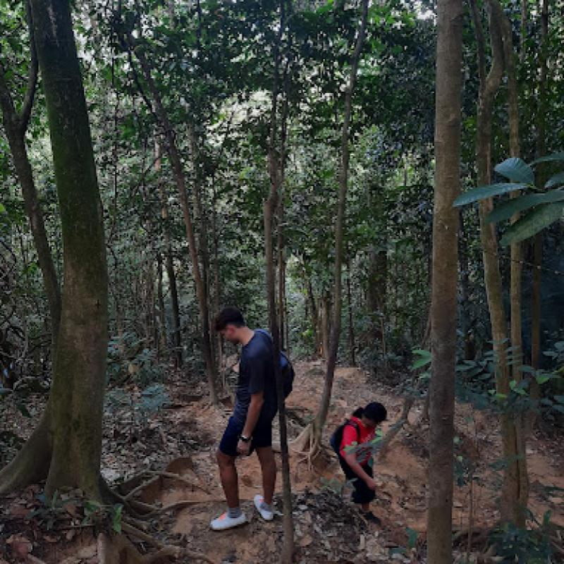 10 Tempat Mendaki Terbaik Berdekatan Puchong 2025 5 Wawasan-Hill-Trail-