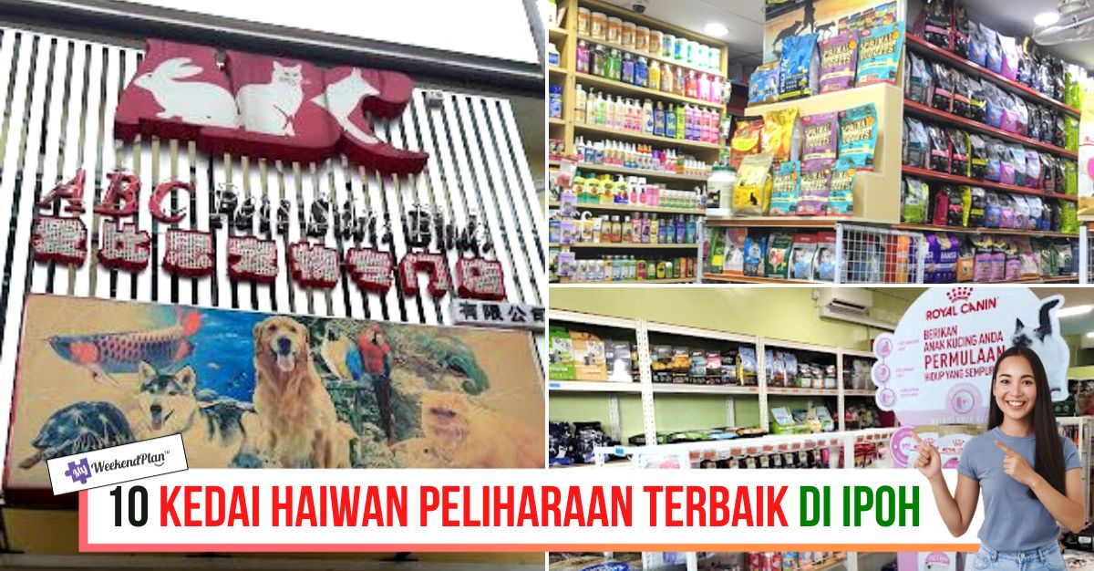-KEDAI-HAIWAN-PELIHARAAN-TERBAIK-DI-IPOH-