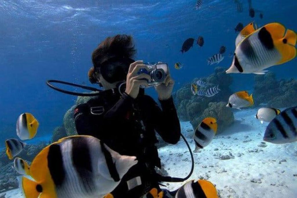 Top 10 Best Things To Do in Kapas Island 2025 5 Be-One-With-The-Sea-At-Kapas-Island