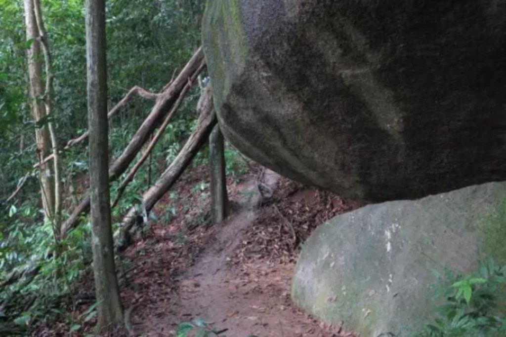 10 Tempat Terbaik Untuk Mendaki di Negeri Sembilan 2025 19 Bukit-Baginda-Trailhead-