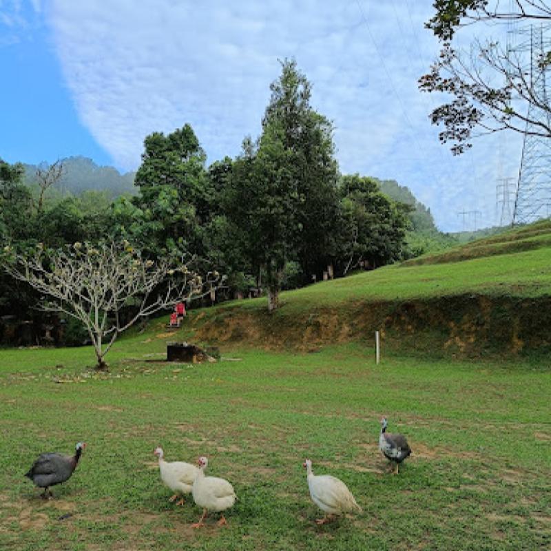 10 Taman Terbaik di Shah Alam 2025 11 Bukit-Jelutong-Eco-Community-Park-