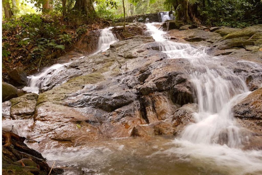 Top 10 Best Outdoor Activities in Kuala Lumpur 2025 19 Camping-At-FRIM-Camping-Area-