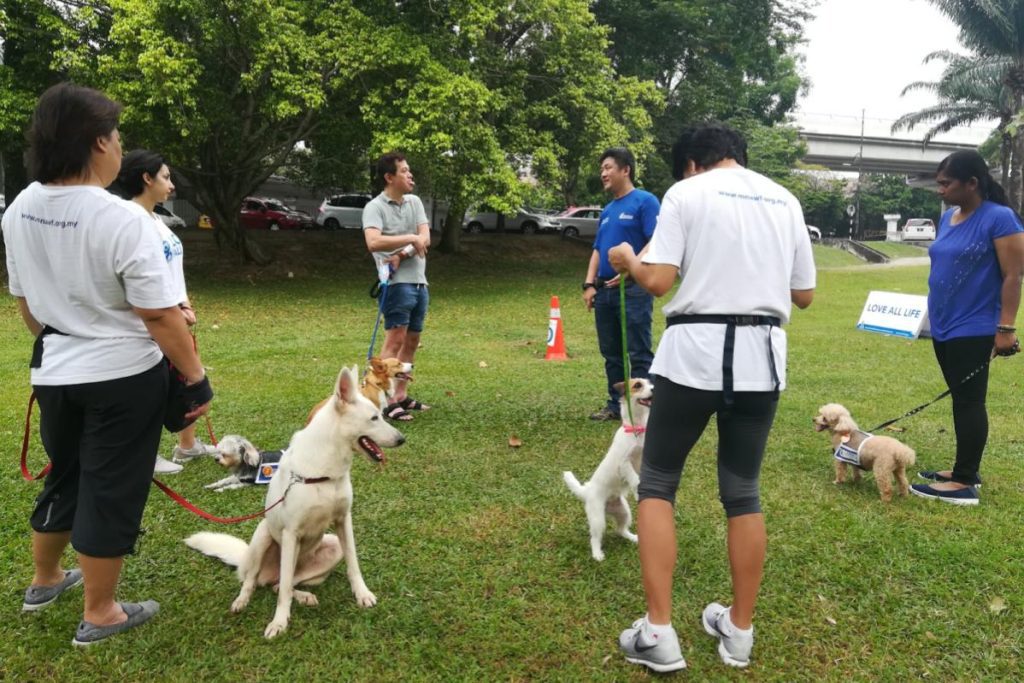 Top 10 Best Parks in PJ 2025 13 Central-Park-Bandar-Utama-