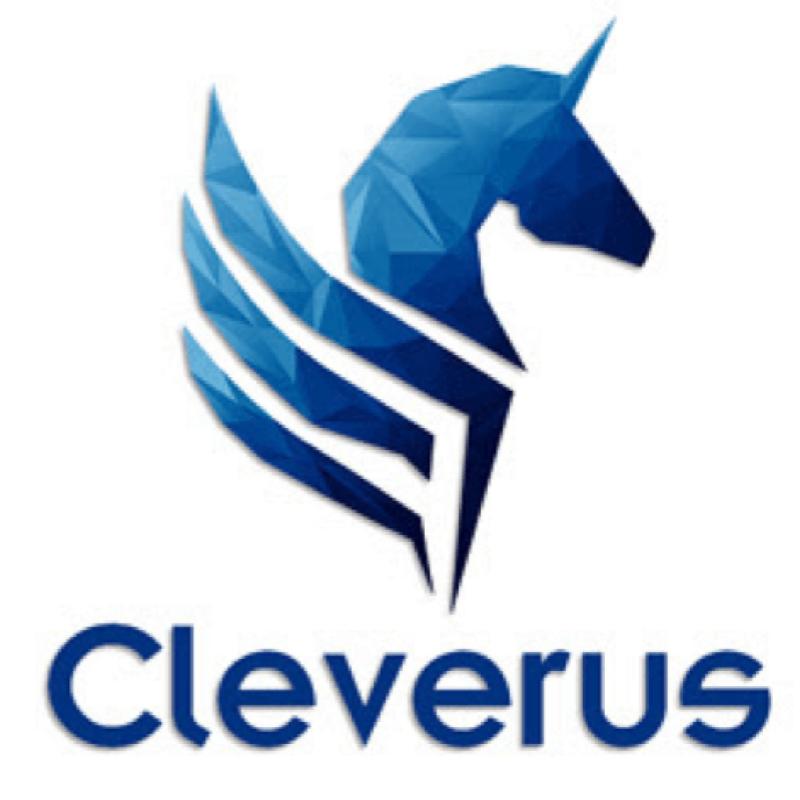 Top 10 Best Marketing and Advertising Consultant in KL 2025 8 Cleverus-Malaysia-SEO-Services-Agency-
