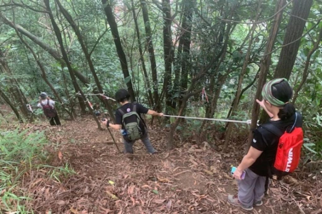 Top 10 Best Places For Hiking in Kuala Lumpur 2025 21 Desa-Petaling-Hiking-Trail-