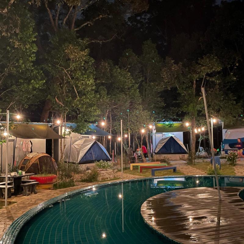 7 Tempat Sempurna untuk Glamping dan Perkhemahan di Pulau Pinang 2025 15 Discovery-Agarwood-Research