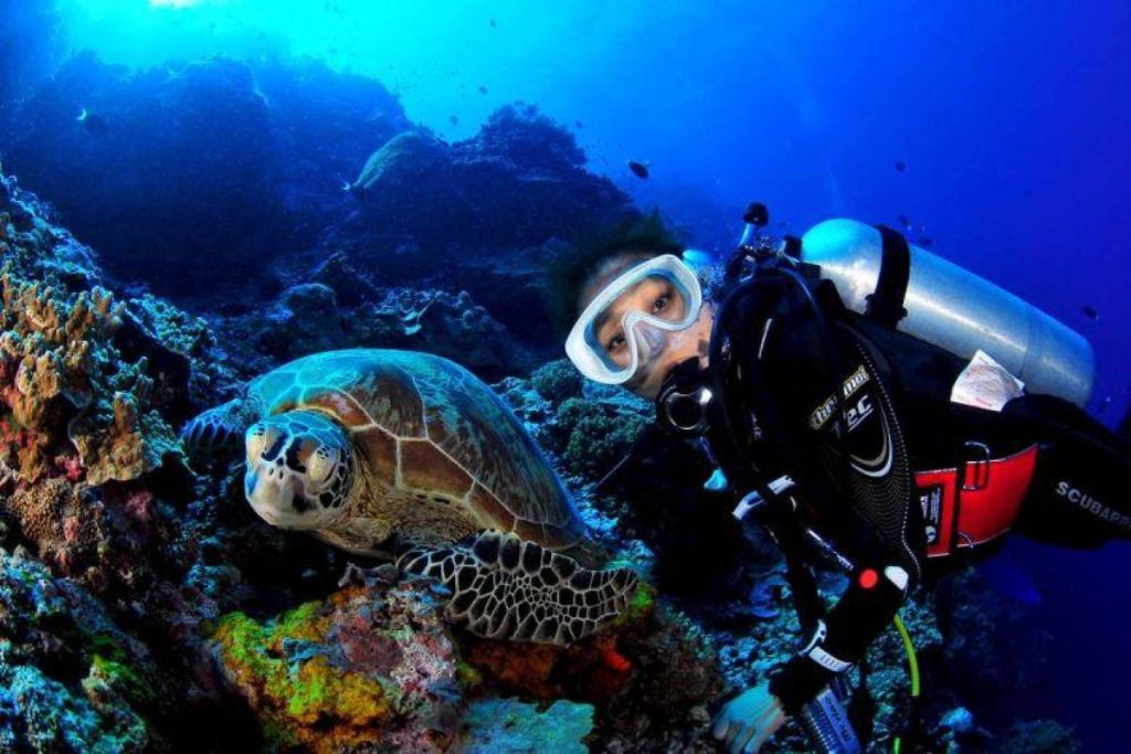 Top 10 Best Things To Do in Mataking Island 2025 5 Explore-And-Join-Marine-Bio-Adventure