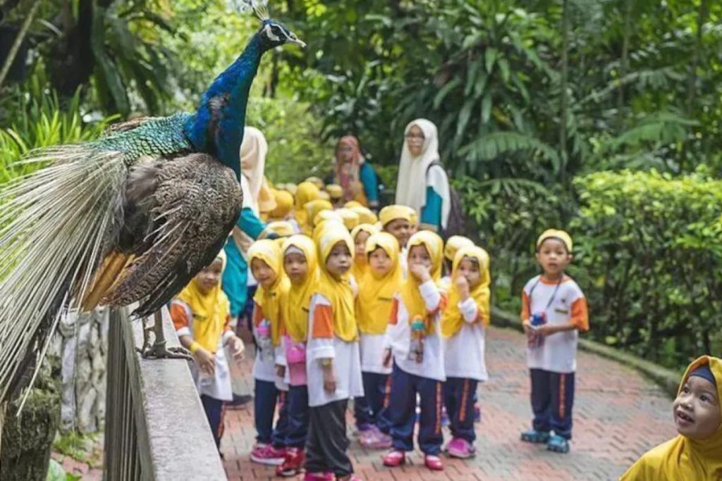 Top 10 Best Outdoor Activities in Kuala Lumpur 2025 4 Explore-At-KL-Bird-Park
