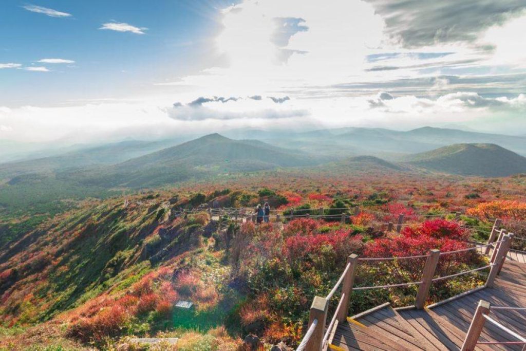 Top 10 Best Things To Do in Jeju Island 2025 16 Explore-The-Hallasan-National-Park-