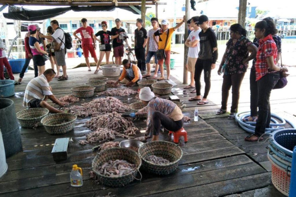 Top 10 Best Things To Do in Crab Island 2025 10 Exploring-Crab-Island-Mini-Market-