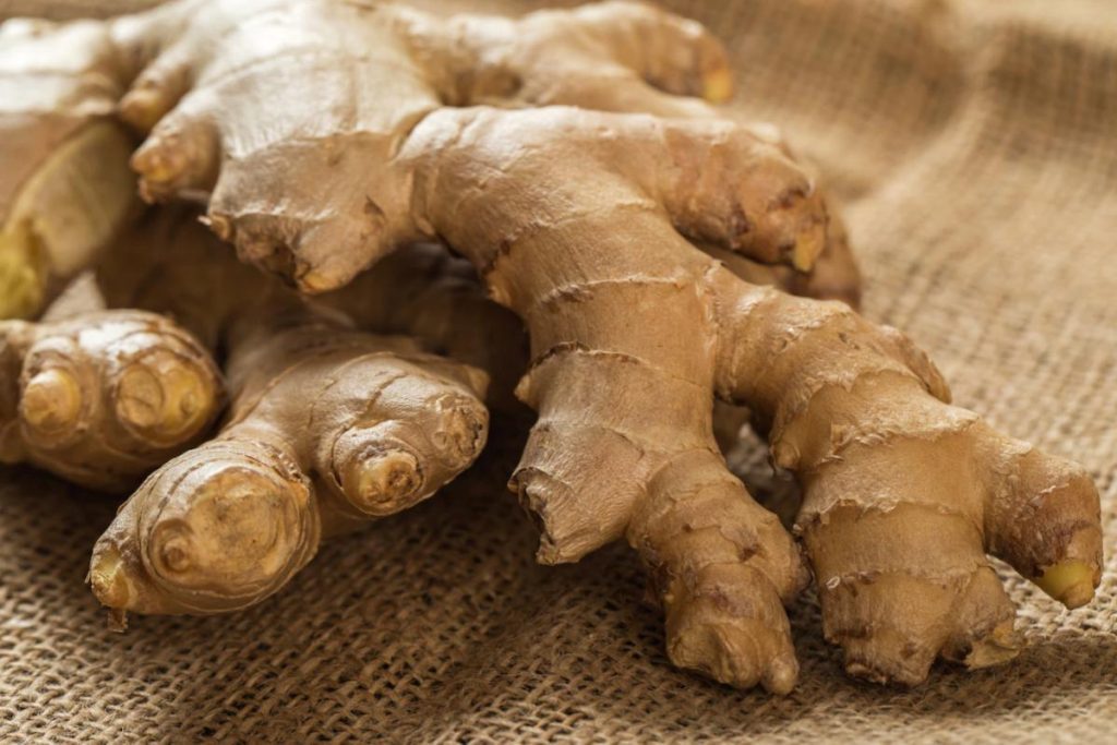 Top 15 Best Foods for Gastritis in Malaysia 2025 4 Ginger
