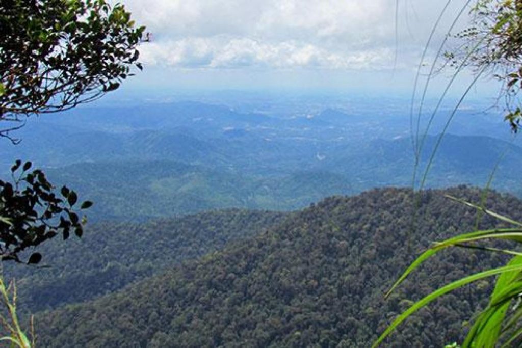 Top 10 Best Places For Jungle Trekking in Malaysia 2025 18 Gunung-Nuang-Recreational-Forest