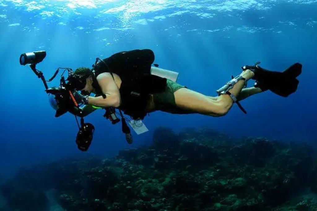 5 Tempat Menakjubkan Terbaik untuk Selam Skuba di Langkawi 2025 2 House-Reef-Dive-Site