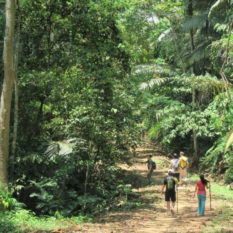 Top 10 Best Places For Jungle Trekking in Malaysia 2025 16 Hutan-Lipur-Bukit-Lagong